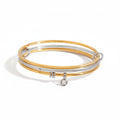 Dual-Tone Stainless Steel Bangle with Charm Accent
