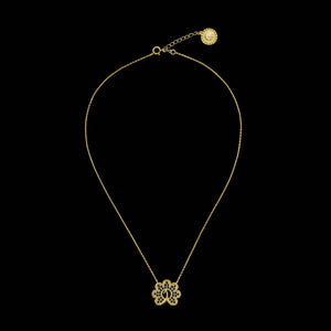 Peacora's Midnight Beauty - PEACORA